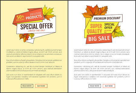 Limited sale super special offer up to 50 percent discount promo posters text sample. Autumn half price advertising emblem, foliage and leaves vectorのイラスト素材