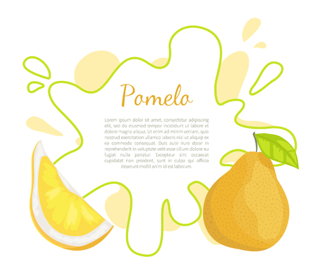 Pomelo exotic fruit vector poster with frame and place for text. Tropical food, similar to grapefruit or pear, dieting vegetarian citrus with leafのイラスト素材
