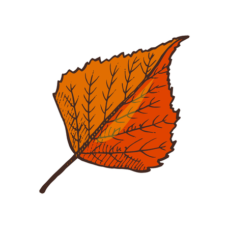 Leaf Autumnal Symbol Isolated Icon Shape Vectorのイラスト素材