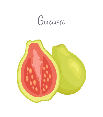 Guava Pineapple Guavas Exotic Juicy Fruit Vectorのイラスト素材