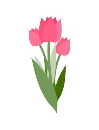 Spring flowers vector, isolated icon of tulips with long leaves. Symbol of international womens day, bouquet decoration. Bright decor flora bloomingのイラスト素材