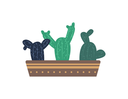 Plants of one type vector, cactus with thorns growing in pot flat style. Botanical flora and foliage,Mexican kind of flowers, decorative elements for homeのイラスト素材