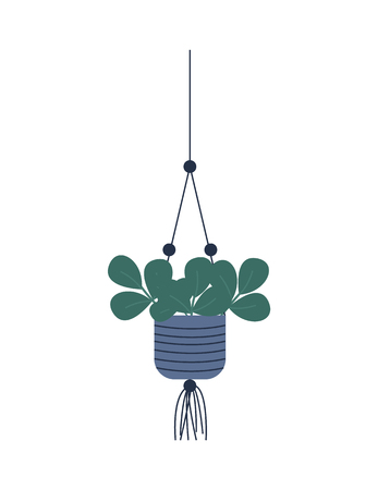 Plant growing in hanging pot botanical decoration for home. Floral decor leaves, houseplant vector, green wide foliage, isolated potted evergreen floweringのイラスト素材