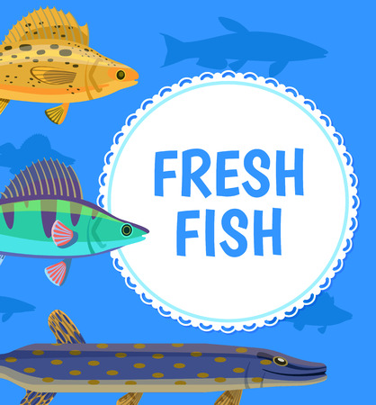 Fresh fish postcard, with white round and cartoon fishes, side view of salmon or dorada, tasty food or blue postcard with water animal, restaurant vectorのイラスト素材