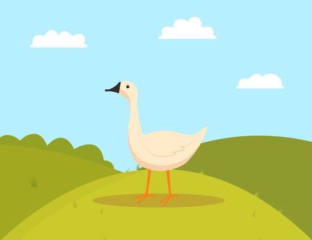 Goose on grass, walking farm bird character, side view of white countryside animal, duck or fowl outdoor, poultry eating on hills, farming vectorのイラスト素材
