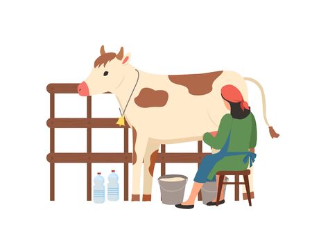 Breeding of animals and tending cows vector, milkmaid working with cattle in stable. Isolated worker with bottles sitting on stool by metal bucketのイラスト素材