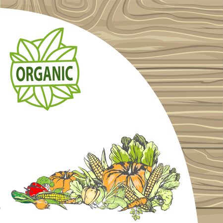 Natural products vector, bio food harvesting banner, corn and pepper, foliage and carrot pumpkin and onion meal fresh harvest organic fruits veggies. Logo for menu of bio products on wood backgroundのイラスト素材