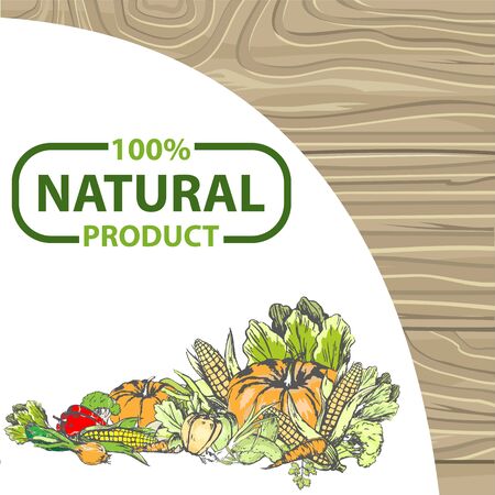 Natural products vector, bio food harvesting banner, corn and pepper, foliage and carrot pumpkin and onion meal fresh harvest organic fruits veggies. Logo for menu of bio products on wood backgroundのイラスト素材