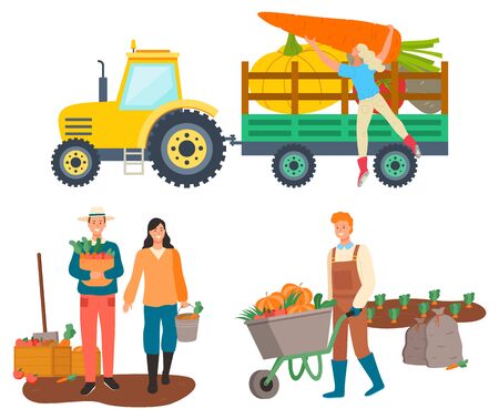 People working on farm vector, isolated tractor with character loading beetroots and carrots. Personage with harvested products, cart with pumpkinのイラスト素材