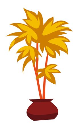 Decorative indoor palm tree in flower pot isolated on white. Exotic room plant with golden yellow leaves. Decorative tropical botanical element vectorのイラスト素材