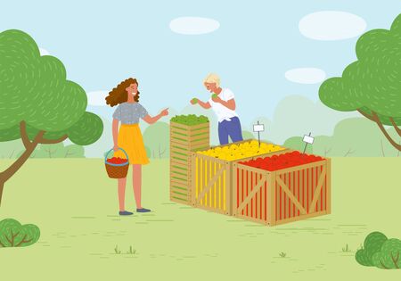 Woman buying products in market vector, summer fair with organic food and meal. Fruits from farmers, salesperson with juicy vegetarian snacks flat style. Picking apple concept. Flat cartoonのイラスト素材