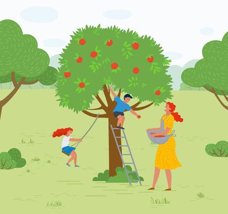 Rural area vector, farming woman with basket picking apples in garden. Playing kids family leisure,daughter and son of mother smiling character working. Pick apples concept. Flat cartoonのイラスト素材