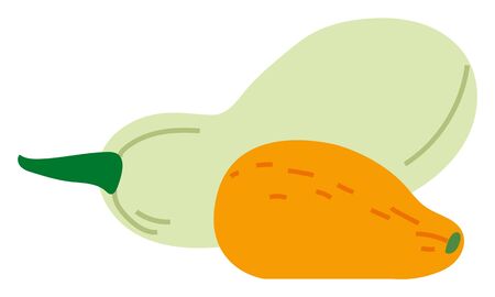 Pumpkin and melon harvesting festival products, element of agricultural fest. Organic food, thanksgiving festive, squash object, rustic meal. Vector illustration in flat cartoon styleのイラスト素材
