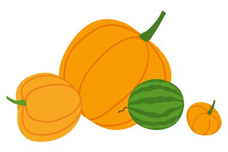 Pumpkin or squash and watermelon, autumn harvest or crop, farming and agriculture isolated vegetables. Natural food and organic product, cooking. Vector illustration in flat cartoon styleのイラスト素材