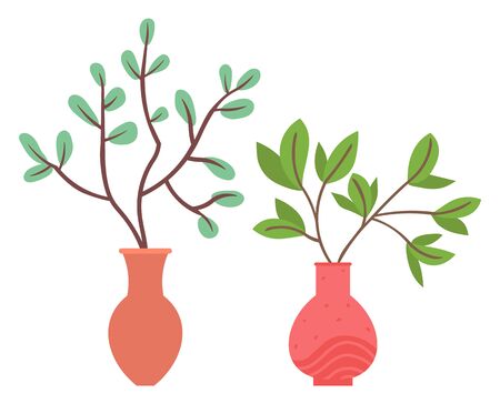 Flowers in vases, floral decor for home flat style flourishing on branches, plant with frondage, tender and elegant design, container interior. Isolated flowerpot with blooming plant . Vector in flatのイラスト素材
