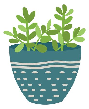 Flowers in vases, floral decor for home flat style flourishing on branches, plant with frondage, tender and elegant design, container interior. Isolated flowerpot with blooming plant . Vector in flatのイラスト素材
