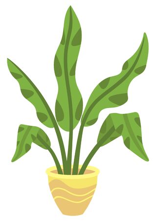 Flowers in vases, floral decor for home flat style flourishing on branches, plant with frondage, tender and elegant design, container interior. Isolated flowerpot with blooming plant . Vector in flatのイラスト素材