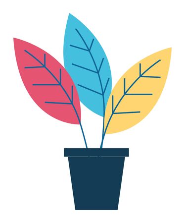 Houseplant with big red, blue and yellow leaves, vegetation in black pot. Plant that grown indoor in potting soil. Isolated fresh decor for house and office interior. Vector illustration in flat styleのイラスト素材