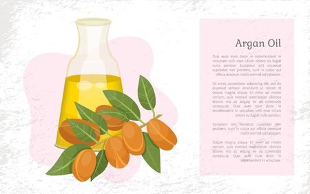 Glass bottle contains golden liquid inside. Branch with brown nuts of argania. Text, information about argan oil in vessel. Product used in beauty industry like for hair care. Vector illustrationのイラスト素材