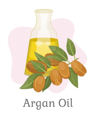 Argan oil branch of nuts with leaves and liquid in glass isolated on white. Card with natural ingredient for healthcare and spa procedure. Therapy for hair with vegetarian product in bowl vectorのイラスト素材