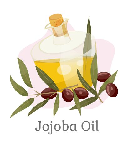 Glass vessel golden liquid inside, jojoba oil. Branch with green leaves and brown drupes near glassware. Aromatic product used in dermatology and cosmetology. Vector illustration in flat styleのイラスト素材