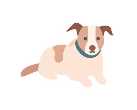 Pedigree dog sitting on floor, portrait view of pet character in collar, domestic animal with brown spotted, canine decoration in flat design style vectorのイラスト素材