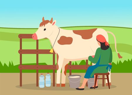 Woman farmer in uniform near cow on nature landscape. Milkmaid is working at countryside, sitting on chair and milking cow in rural area. Back view of woman wearing an apron pouring milk into bucketのイラスト素材