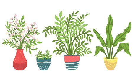 Flowers in vases, floral decor for home flat style flourishing on branches, plant with frondage, tender and elegant design, container interior. Isolated flowerpot with blooming plant . Vector in flatのイラスト素材