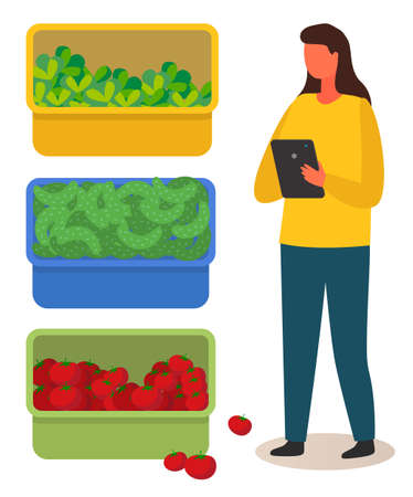 Boxes with tomatoes, cucumbers and lettuce. A woman with a tablet makes notes. Harvest. Woman counts the harvest. Ripe vegetables. Selling eco-friendly vegetables. The growing system without soilのイラスト素材