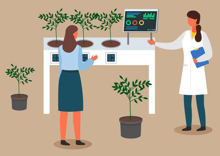 Female scientists are examining plant samples. Chemically Nitrate Test. Urban agriculture and gardening. Charts and diagrams. Scientists carry experiments in the laboratory.のイラスト素材
