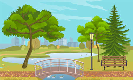 City park with a lawn and trees. Autumn park with plant environmental and lush grass with wooden bench with lake and floating ducks, pedestrian bridge and street lamps against background of buildingsのイラスト素材