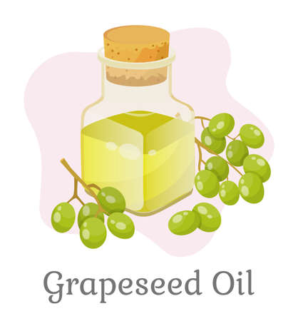 Glass bottle closed with bung with liquid inside. Branch with green small grapes. Vessel with grapeseed oil used for cooking or beauty industry like hair care. Vector illustration in flat styleのイラスト素材