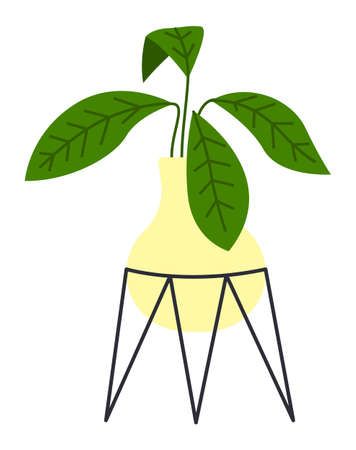 Pot with houseplant isolated at white background. Vector flower pot of decorative green plant with long leaves in ceramic pot. Indoor plant concept of domestic greenery. Icon for home interior plantのイラスト素材