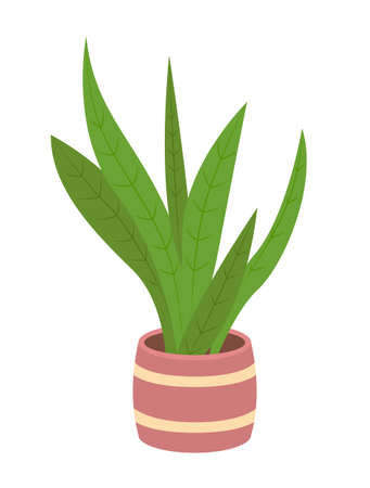 Pot with houseplant isolated at white background. Vector flowerpot of decorative green plant with long leaves in ceramic pot. Indoor plant concept of domestic greenery. Icon for home interior plantのイラスト素材