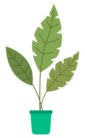 Pot with houseplant isolated at white background. Vector flowerpot of decorative green plant with long leaves in ceramic pot. Indoor plant concept of domestic greenery. Icon for home interior plantのイラスト素材