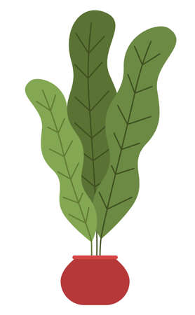 Pot with houseplant isolated at white background. Vector flowerpot of decorative green plant with long leaves in ceramic pot. Indoor plant concept of domestic greenery. Icon for home interior plantのイラスト素材