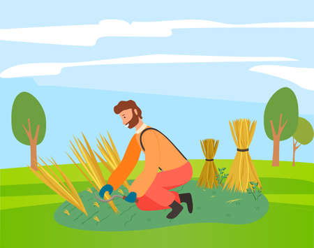 A man mower with a scythe cuts grain crop and binds in sheaf. Farmer wearing in overalls harvesting ears of wheat on the field. Agricultural worker, autumn harvest. Ecological farming and manual laborのイラスト素材