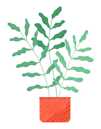 Pot with houseplant isolated at white background. Vector flowerpot of decorative green plant with long leaves in ceramic pot. Indoor plant concept of domestic greenery. Icon for home interior plantのイラスト素材
