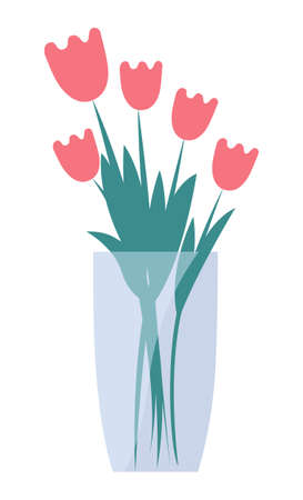 Beautiful pink tulips flowers in vase. Bouquet of blooming garden flowers for interior decoration in a glass transparent vase vector illustration. Elegant spring season purple bouquet holiday giftのイラスト素材