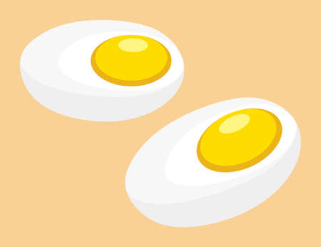 Fried eggs isolated on yellow background. Healthy nutrition breakfast fried egg protein eating. Two cooked eggs fried in pan. Yolk scrambled egg quick and easy breakfast. Burger or sandwich ingredientのイラスト素材