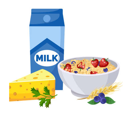 Package with milk, triangle of cheese, bowl with oatmeal, strawberries, bluberries, cereals, sprig of parsley. Natural organic food, fresh berries, dairy products. Keeping diet, healthy eatingのイラスト素材