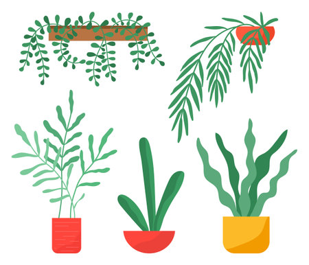 Houseplants collection, green plants in pots, set of decorative greenery with long leaves, hanging indoor domestic nature, flowerpot in ceramic pot, home interior design, floral, isolated symbolのイラスト素材