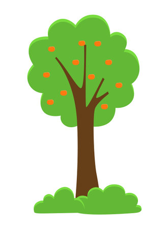 Green bright tree with a lush crown and orange fruits, thick brown trunk and branches isolated on white. Flat vector illustration of big plant with foliage round shape, landscape cartoon elementのイラスト素材