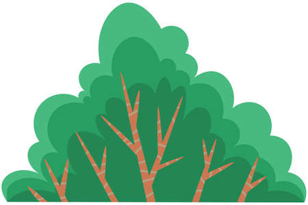 Green summer tree or bush with a lush crown, thin brown trunk and branches isolated on white. Vector illustration of big plant with foliage round shape, landscape element in cartoon conceptのイラスト素材
