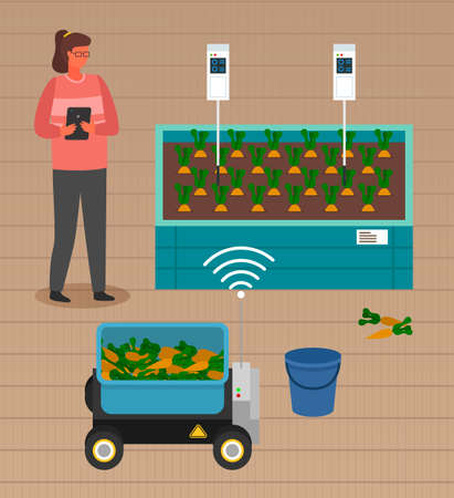 Urban farming, gardening or agriculture. A woman planted out the sprouts to the wooden package bed. Growing vegetables using modern technology and automated equipment, use of wooden greenhousesのイラスト素材
