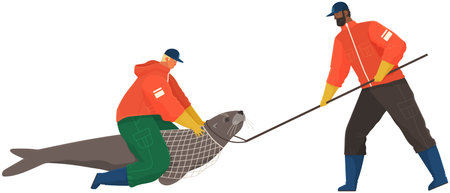 Volunteers catch animal, hold head and get it out of net. Social workers rescue trapped sealのイラスト素材