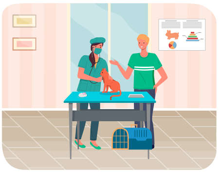 Veterinarian wooman treats red cat listening to heartbeat in medical office, talking to pet ownerのイラスト素材