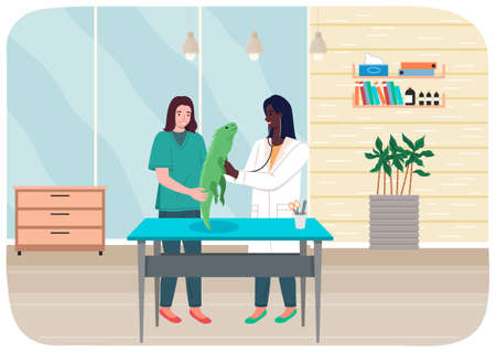 Doctor women with iguana in medical office. Veterinarian female character holding big green lizardのイラスト素材