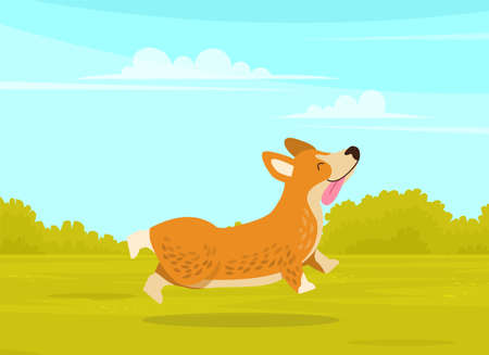 Happy cute corgi dog is walking in green summer park background. Funny ginger puppy with short pawsのイラスト素材