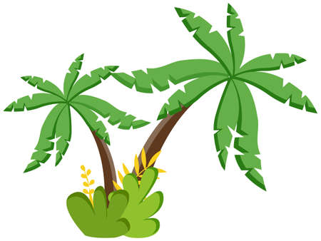 Palm tree vector illustration. Tropical plant coconut palm isolated on white background. Exotic evergreen tree grows on tropical islands in warm countries, symbol of warmth, relaxation and vacationのイラスト素材